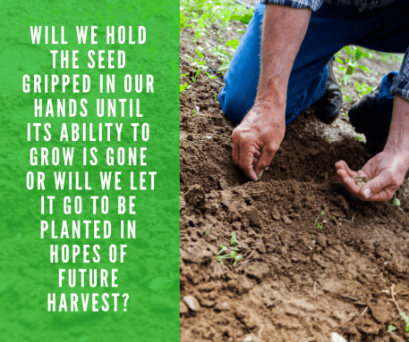 15 Healthy Brunch Bowls